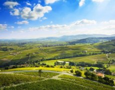 Beaujolais a Burgundsko, kláštery a slavnost vína