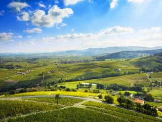 Beaujolais a Burgundsko, kláštery a slavnost vína