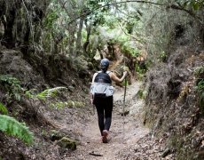 Pohodový týden - La Palma a Gran Canaria - La Isla Verde a duny „miniaturního kontinentu“
