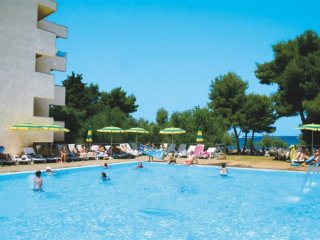 Hotel Donat