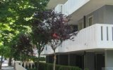 Katalog zájezdů - Itálie, Villa Patrick