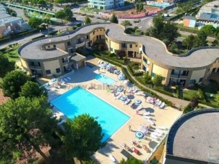 Villaggio Girasoli e Calycanthus