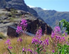 Andorra, srdce Pyrenejí