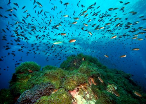 Chrámy a Příroda Jižního Thajska