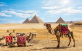 Okruh Severním Egyptem