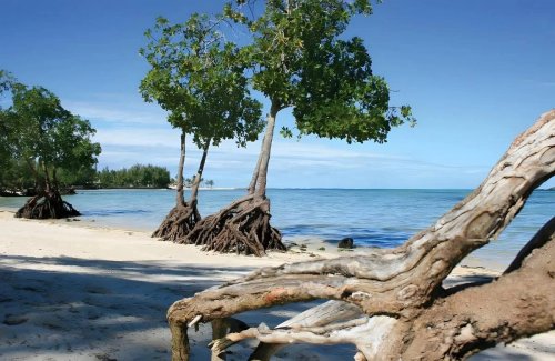 Hotel Jalsa Beach Hotel & Spa