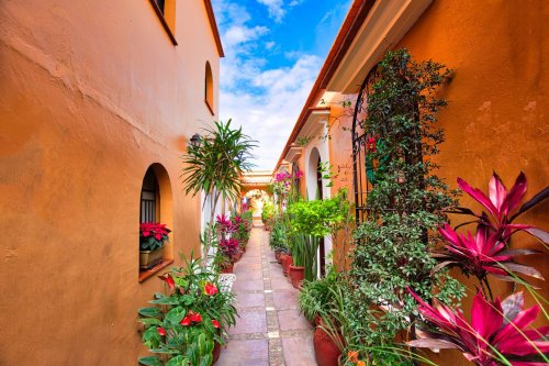 Dominikána: Neobjevený ráj