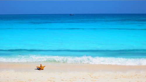 Hotel Palumbo Kendwa