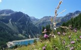 Passo Tonale - ráj pod ledovcem s kartou