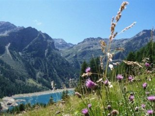 Passo Tonale - ráj pod ledovcem s kartou