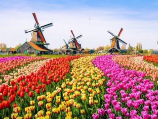 Květinový park Keukenhof