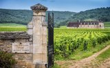 Francie - Beaujolais a Burgundsko