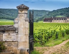 Francie - Beaujolais a Burgundsko