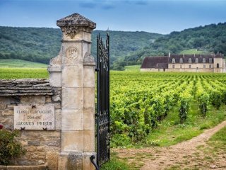Francie - Beaujolais a Burgundsko