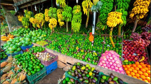 Napříč Srí Lankou