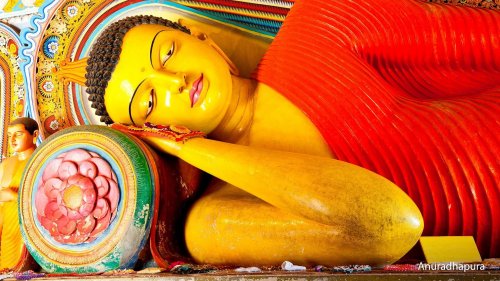 Napříč Srí Lankou