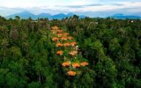 Hotel Nandini Jungle by Hanging Gardens
