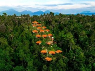 Hotel Nandini Jungle by Hanging Gardens Hotel Nandini Jungle by Hanging Gardens