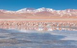 Chile a Bolívie - cesta pouští a solnou plání