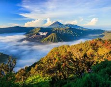 Indonésie – Jáva, Bali + Flores a Komodo