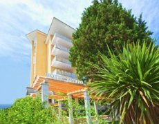 Wellness  Apollo