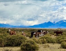 Velká cesta napříč Argentinou - Z tropického pralesa až na Ohňovou zemi