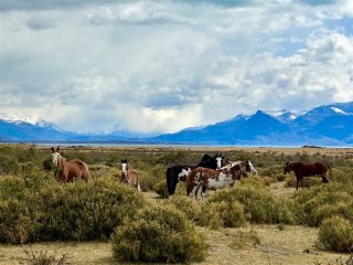 Velká cesta napříč Argentinou - Z tropického pralesa až na Ohňovou zemi