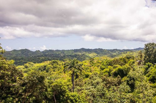 Surinam, Guyany, Tobago, Trinidad