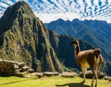 Machu Picchu a relax na Kubě