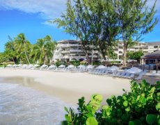Bougainvillea Barbados