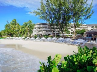Bougainvillea Barbados