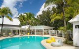 Tropical Attitude