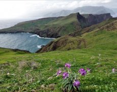 MADEIRA - SILVESTR, zábava i lehká turistika