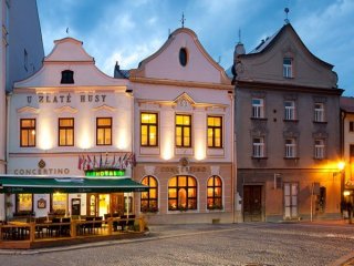CONCERTINO ZLATÁ HUSA - Jindřichův Hradec
