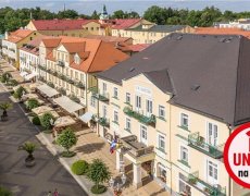 GOETHE - Františkovy Lázně