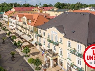 GOETHE - Františkovy Lázně