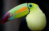 Nikaragua - Kostarika - Panama - Koloniální vznešenost