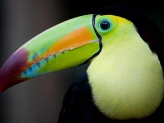Nikaragua - Kostarika - Panama - Koloniální vznešenost