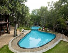 THE DEER PARK 5
