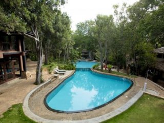 THE DEER PARK 5