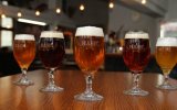 Katalog zájezdů - Česká republika, STAŇ SE SLÁDKEM na 1 den a UVAŘ SI SVÉ PIVO