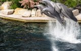 Katalog zájezdů - Německo, Německý LEGOLAND® a norimberská zoo s delfináriem