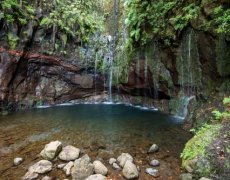 Madeira - Rozkvetlá zahrada Atlantiku