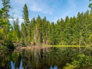Šumava z české i německé strany