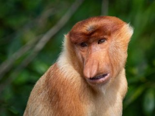 Zážitkové Borneo - Sarawak a Sabah