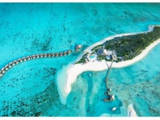 Cocoon Maldives