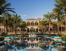 One And Only The Palm
