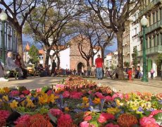 Do Centro