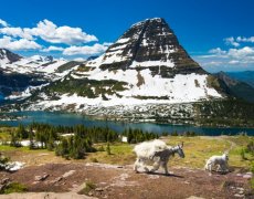 USA - Washington, Idaho, Montana, Wyoming, Oregon - NP severozápadu USA s lehkou turistikou