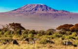 Mt. Meru - Kilimandžáro - Pohodový výstup, nocujeme v horských chatách